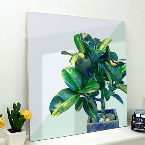 디자인소품 디자인액자 식물 분홍 초록 자연 나무 꽃 cp310-아크릴액자 푸른식물