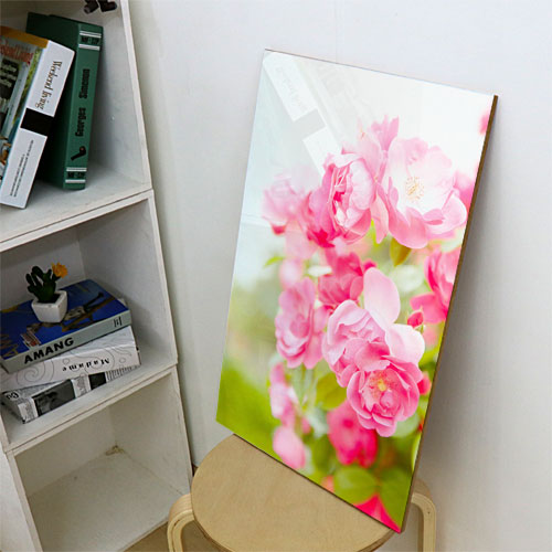 꽃 장미 디자인액자 디자인소품 봄 분홍 핑크 cp324-아크릴액자 아름다운꽃