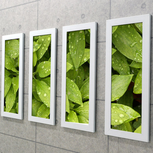 디자인액자 인테리어액자 디자인소품 식물 비 자연 날씨 인테리어소품 벽걸이액자 벽면인테리어 cu138-빗방울머금은풀잎 액자세트