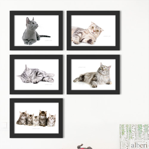 액자 벽걸이 반려묘 애완동물 메이쿤 러시안블루 고양이카페 ggcu481-마이펫 고양이 가로 액자세트