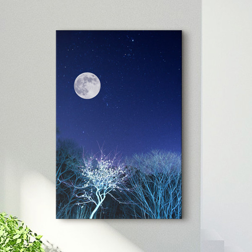 캔버스액자 인테리어디자인데코소품 벽걸이 자연 나무 별 달 은하수 빛 새벽 cv154-새벽의보름달 중형노프레임