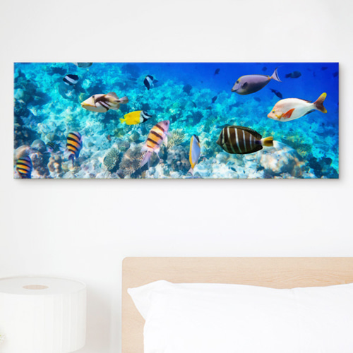 노프레임액자 캔버스액자  벽걸이 풍경 해저 바다 물고기 해초 자연 어류 ggcv502-푸른해저속으로 대형노프레임