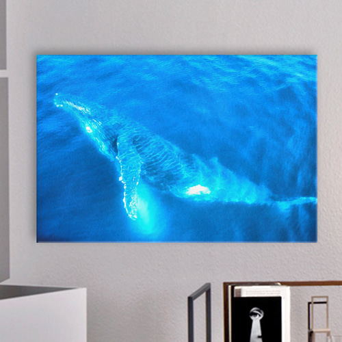 중형노프레임 중형액자 캔버스액자 노프레임액자 인테리어디자인데코소품 중형 그림 바다 고래 어류 수염고래 혹등고래 cx532-혹등고래