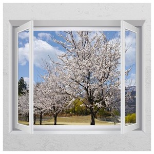 유리창 벚꽃 스티커 벚꽃시트지 ih516-벚꽃이핀바깥풍경_창문그림액자 
