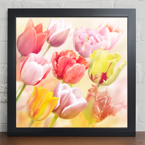액자 인테리어액자 벽걸이 식물 꽃 자연 그림 아름다움 파스텔 분홍꽃 클로즈업 ggcv260-우아한튤립 인테리어액자