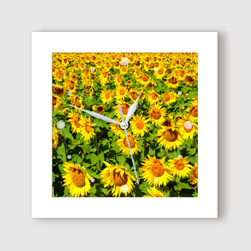 벽시계 풍수 꽃 플라워 식물 자연 행운 재물 썬플라워 풍경 하늘 나비 벌 낮 구름 밭 가을 햇빛 ggit346-해바라기밭 미니액자벽시계