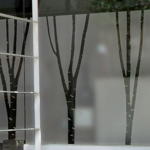 유리시트지 베란다 창문 유리창 반투명 컷팅안개시트지 BSP-056_주문제작가능 창문시트지 자작나무