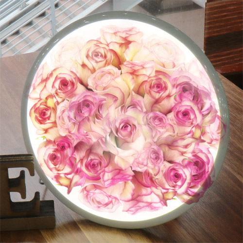 액액자 인테리어액자  사조명 반짝임 빨강  사랑 고백 기념일 영원한 분홍 맹세 행복한 가시 꽃 테이블 gnb187-LED액자25R 장미꽃