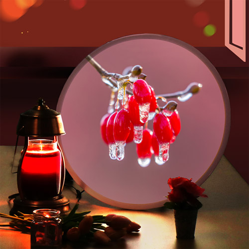 LED액자 LED원형액자 원형액자 월데코 홈갤러리 벽걸이액자 인테리어액자 벽장식 신혼집 결혼식 선물 집들이 LED 조명 수면등 gnc645-LED액자45R_몸에활력을넣어주는빨간산수유